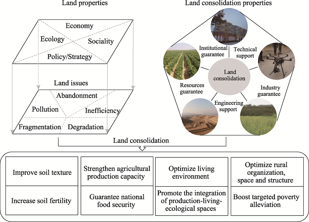 China s Rural Revitalization And Development Theory Technology And