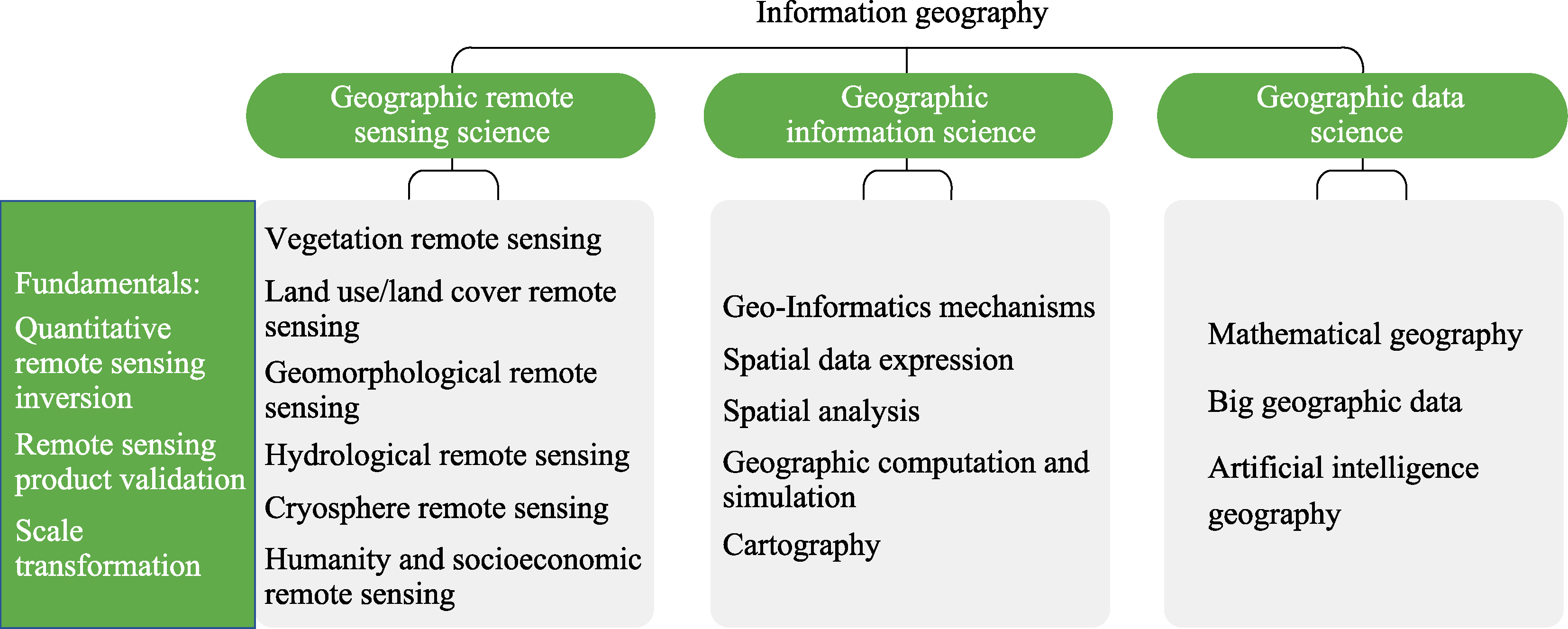 Disciplinary structure and development strategy of information